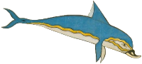 Dolphin